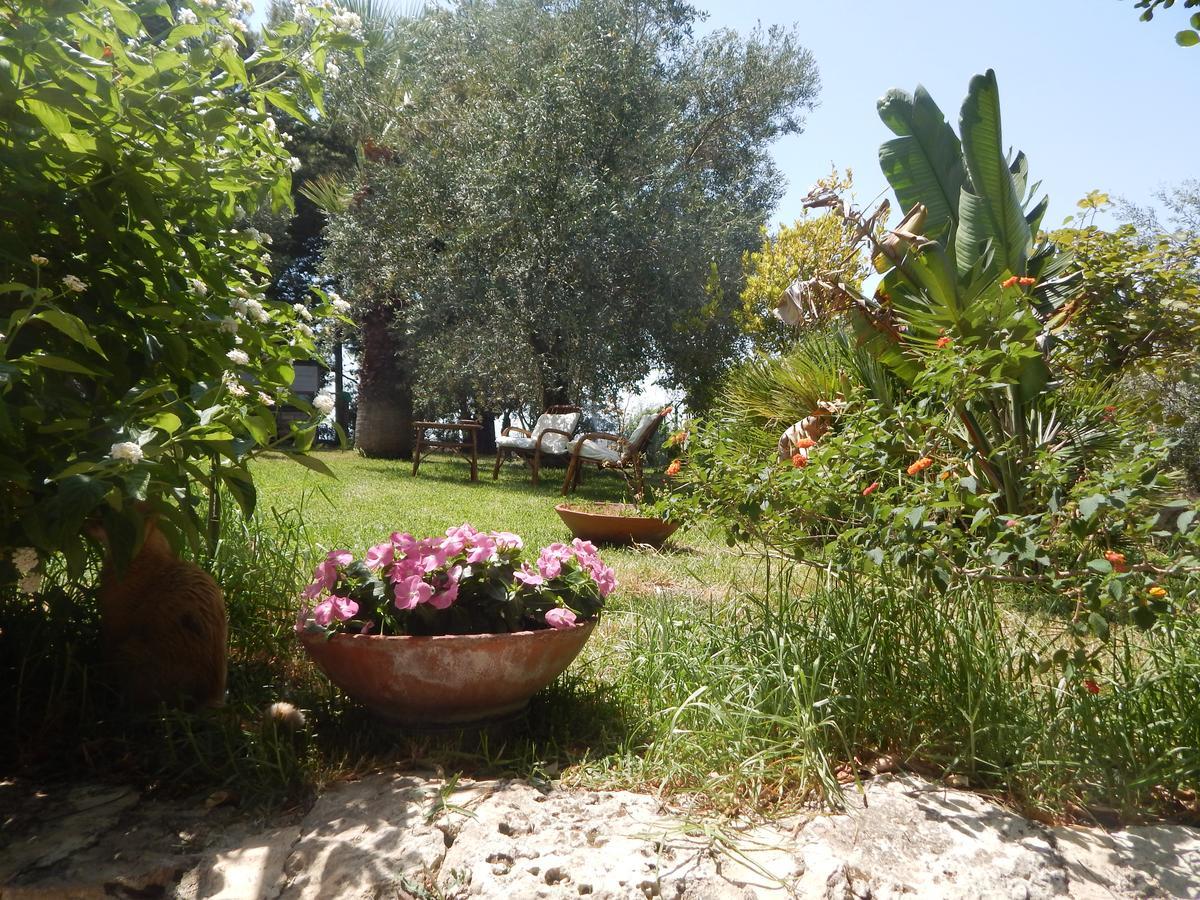 Villa Azzurra San Corrado di Fuori Exterior foto
